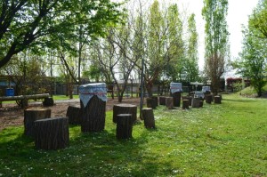 La nuova area ristoro, completamente rinnovata, vi permetterà di rilassarvi cullati dai suini della Fattoria! 
