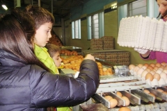 PERCORSO