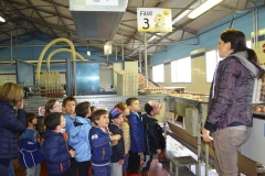 fattoria_didattica_lago_cittadella_padova_003