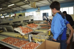 fattoria_didattica_lago_cittadella_padova_004