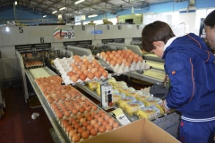 fattoria_didattica_lago_cittadella_padova_005