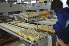 fattoria_didattica_lago_cittadella_padova_006