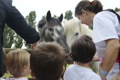 fattoria_didattica_lago_cittadella_padova_044