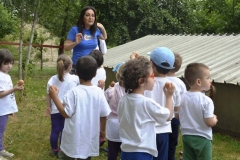 fattoria_didattica_lago_cittadella_padova_050