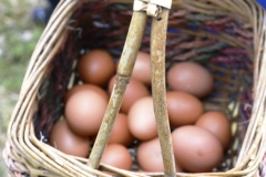 fattoria_didattica_lago_cittadella_padova_051