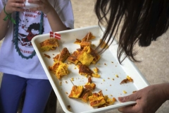 fattoria_didattica_lago_cittadella_padova_060