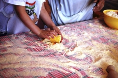 fattoria_didattica_lago_cittadella_padova_072