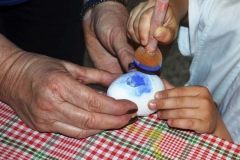 fattoria_didattica_lago_cittadella_padova_073