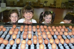 fattoria_didattica_lago_cittadella_padova_076