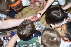 fattoria_didattica_lago_cittadella_padova_077