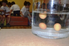 fattoria_didattica_lago_cittadella_padova_079