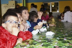 fattoria_didattica_lago_cittadella_padova_081